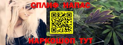 спиды Славгород
