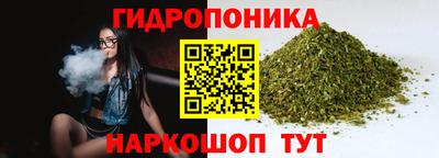 спиды Славгород